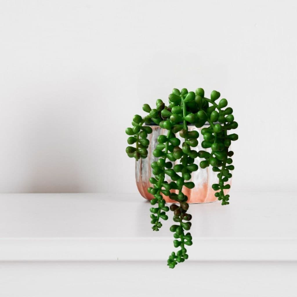 1 Unidade Pendente Suculenta Rosário Artificial 35cm Silicone Planta Permanente Decoração Realista