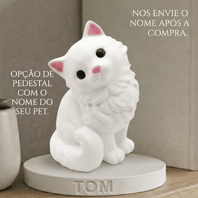 Miniatura Gato Pet Enfeite Presente Decorativo Prateleira Opção Nome