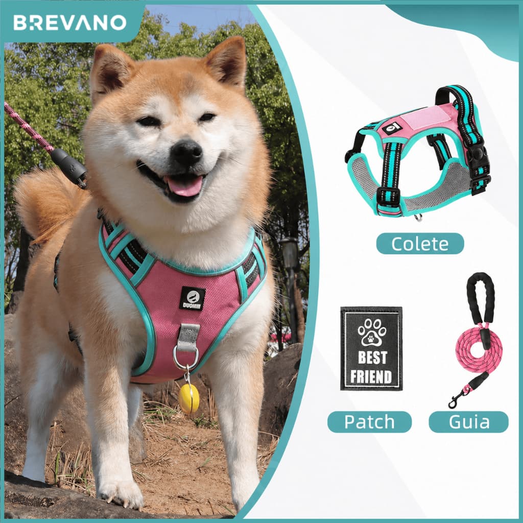 Kit Completo Peitoral para Cachorro + Guia Reforçada 1,5m + Patch | Ajustável e Refletivo