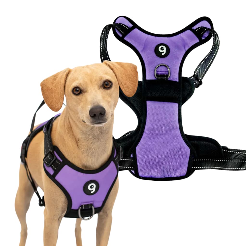 Peitoral para Cachorro Refletivo Ajustável Tamanho G Golden Retriever e Labrador Passeio Noturno
