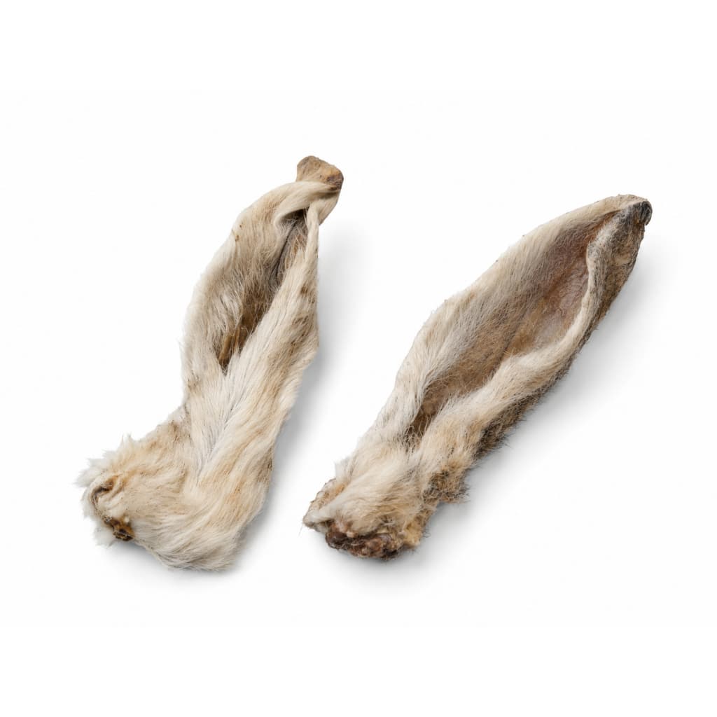 Orelha de Coelho Desidratada Lecker — Petisco Natural para Cães e Gatos | 5 unidades