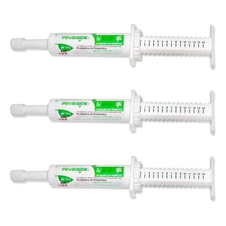 Kit Probiótico & Prebiótico 14g Para Cães e Gatos Recupera Diarreia Flora Intestinal Desconforto