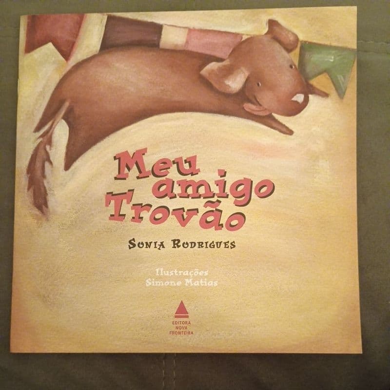 Livro Meu Amigo Trovão - Sonia Rodrigues (Ótimo Estado / Seminovo)