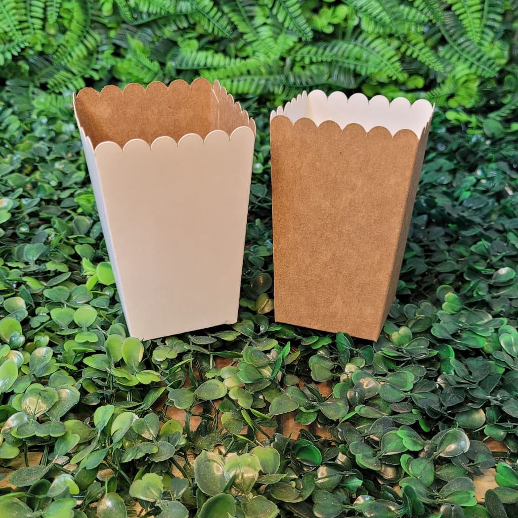 Embalagem Caixa Mini para Pipoca e Chips 5x5x10cm