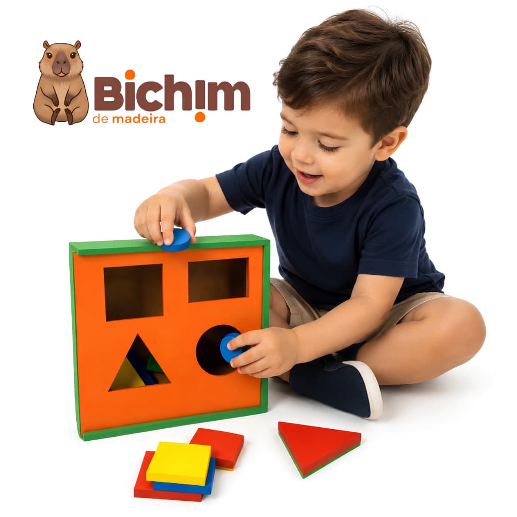 Brinquedo Didático Caixa Encaixe Formas Geométricas Pedagógico Montessori Infantil Educativo Em Madeira