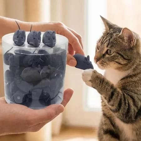 Brinquedo Interativo Sonoro Gatos Caixa Com 50 Ratinho Barulhento