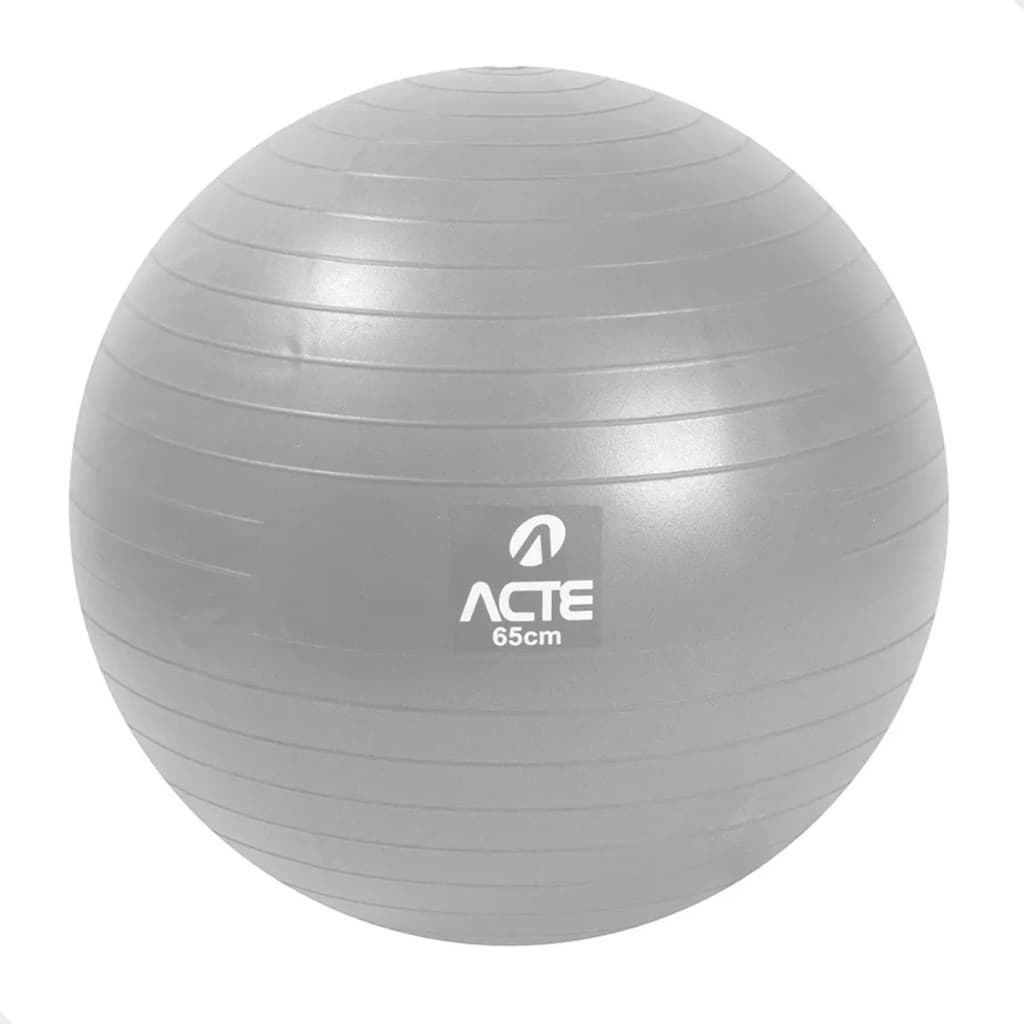 Bola De Pilates 65cm Ginastica Gym Ball Acte Cor Cinza