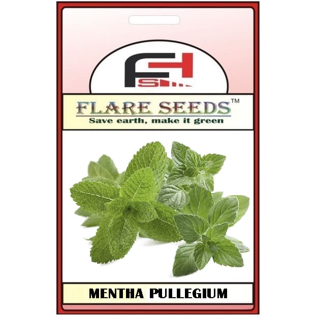 10 sementes de Poejo (Mentha pullegium)
