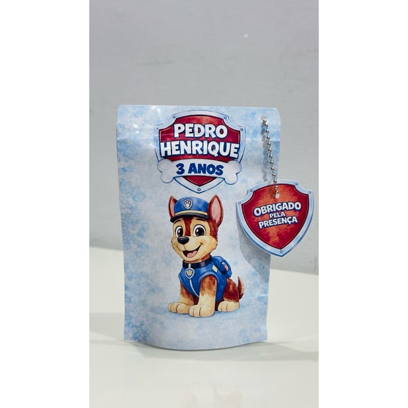 saquinhos herméticos personalizados KIT COM 10 unidades 10x15 para festa FAZEMOS TODOS OS TEMAS
