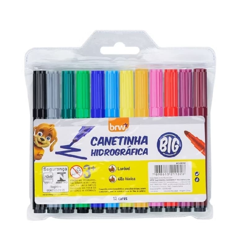 Canetas Esferográficas Coloridas Confortáveis e Práticas - 12 Unidades Variadas
