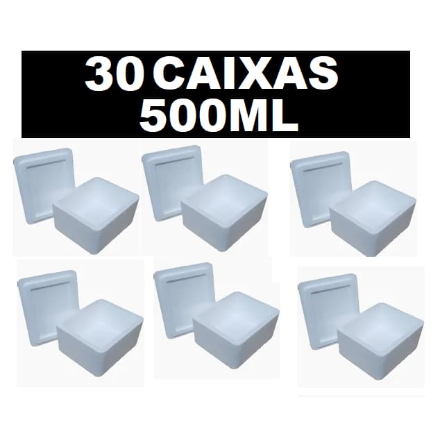 CAIXA TÉRMICA DE ISOPOR 500  ML 20 UNIDADES