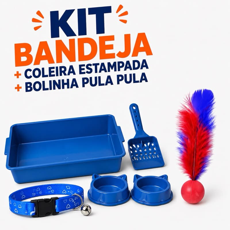 Kit Caixa de Areia para Gato + Coleira para Gato + Brinquedo Bolinha para Gato 🐱🎁