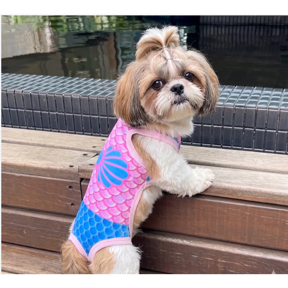Roupa Pet Maio Biquini Pet Sereia Moda Praia Cães Cachorro Gato Porte Pequeno
