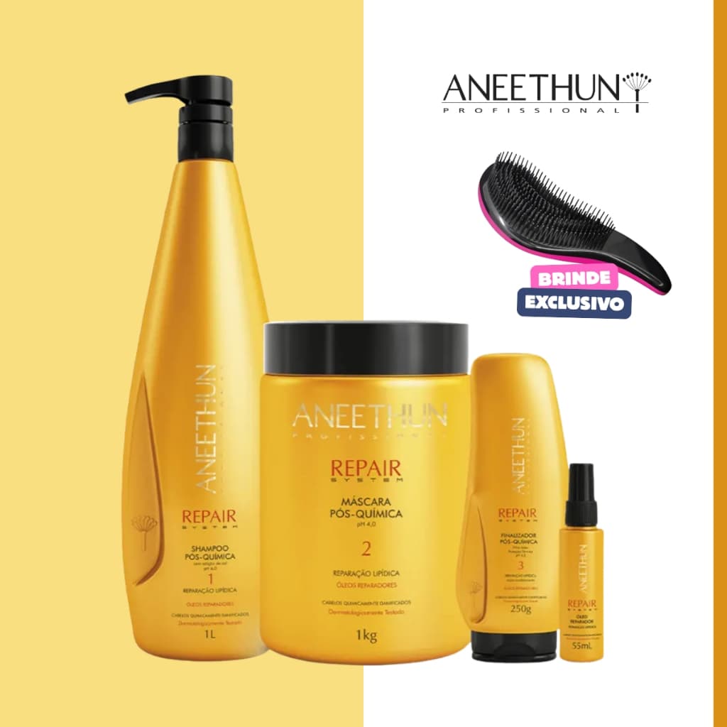 Kit Repair System Aneethun Pós-Química Shampoo 1L Máscara 1Kg Finalizador 250g Óleo 55ml Original