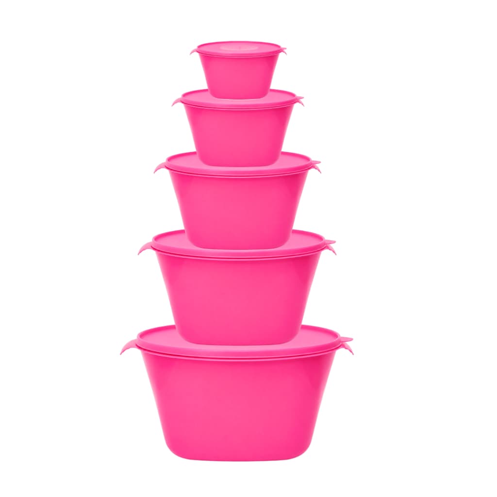 Conjunto 05 Potes Vasilhas Para Cozinha Alimentos - Diversos Tamanhos.