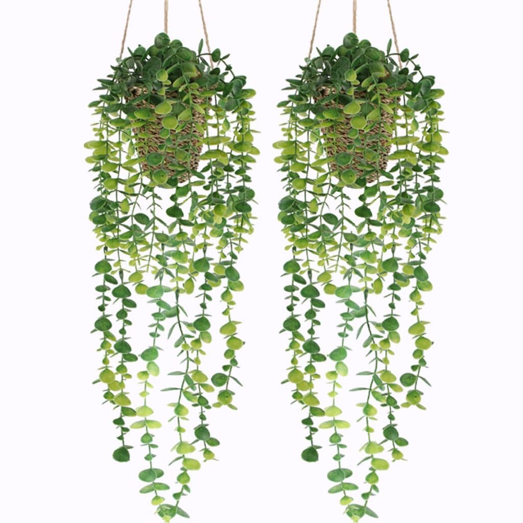 Planta Artificial Pendente com Cesto Trançado (Kit com 2), Plantas Artificiais com Folhas de Eucalipto e Trepadeiras