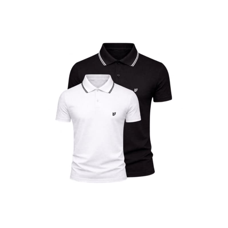 Kit com 2 Camisa Gola Polo 100% Algodão Malha Fio 30.1 Casual.
