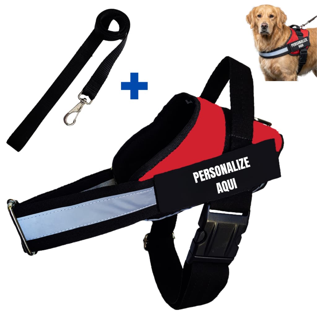 Peitoral Colete Personalizado Coleira Com Guia Nome Telefone Pet Reforçado Ajustável