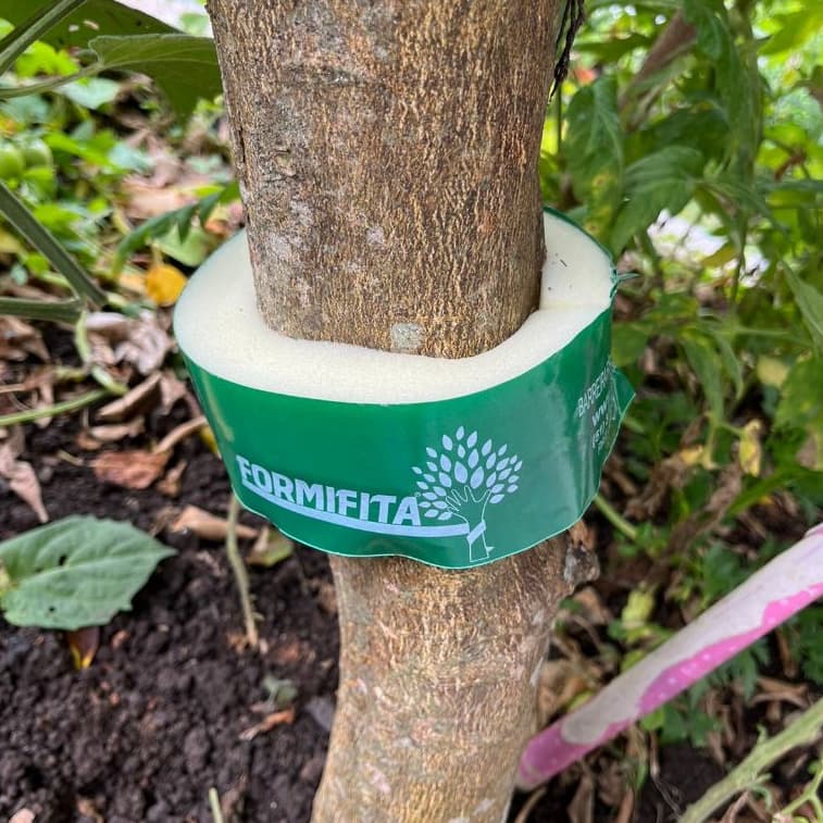 2 Metros Formifita Barreira Ecológica Contra Formiga Cortadeira Sem Veneneno