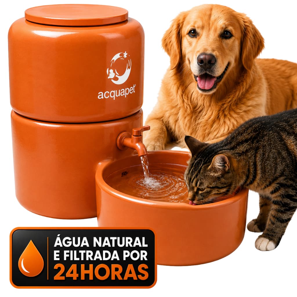 Filtro Barro Bebedouro PET 4L Filtro Água Cachorro Gato Cerâmica com Bomba