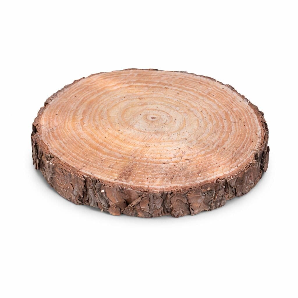 BOLACHA DE MADEIRA RUSTICA DE 25 A 30CM ARTESANATO DIY DECORAÇÃO FOTOS TABUA PLANTAS VASOS