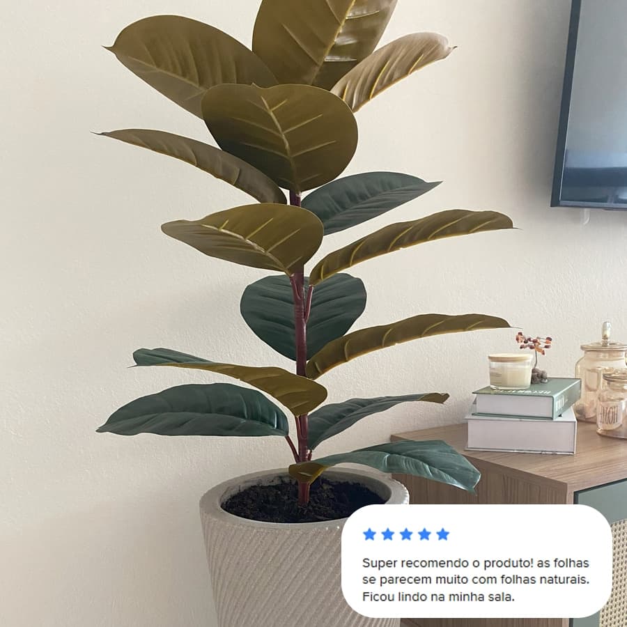 Arranjo Fícus Lyrata Outono Inverno Vaso Pedra Plantas Decoração Sala