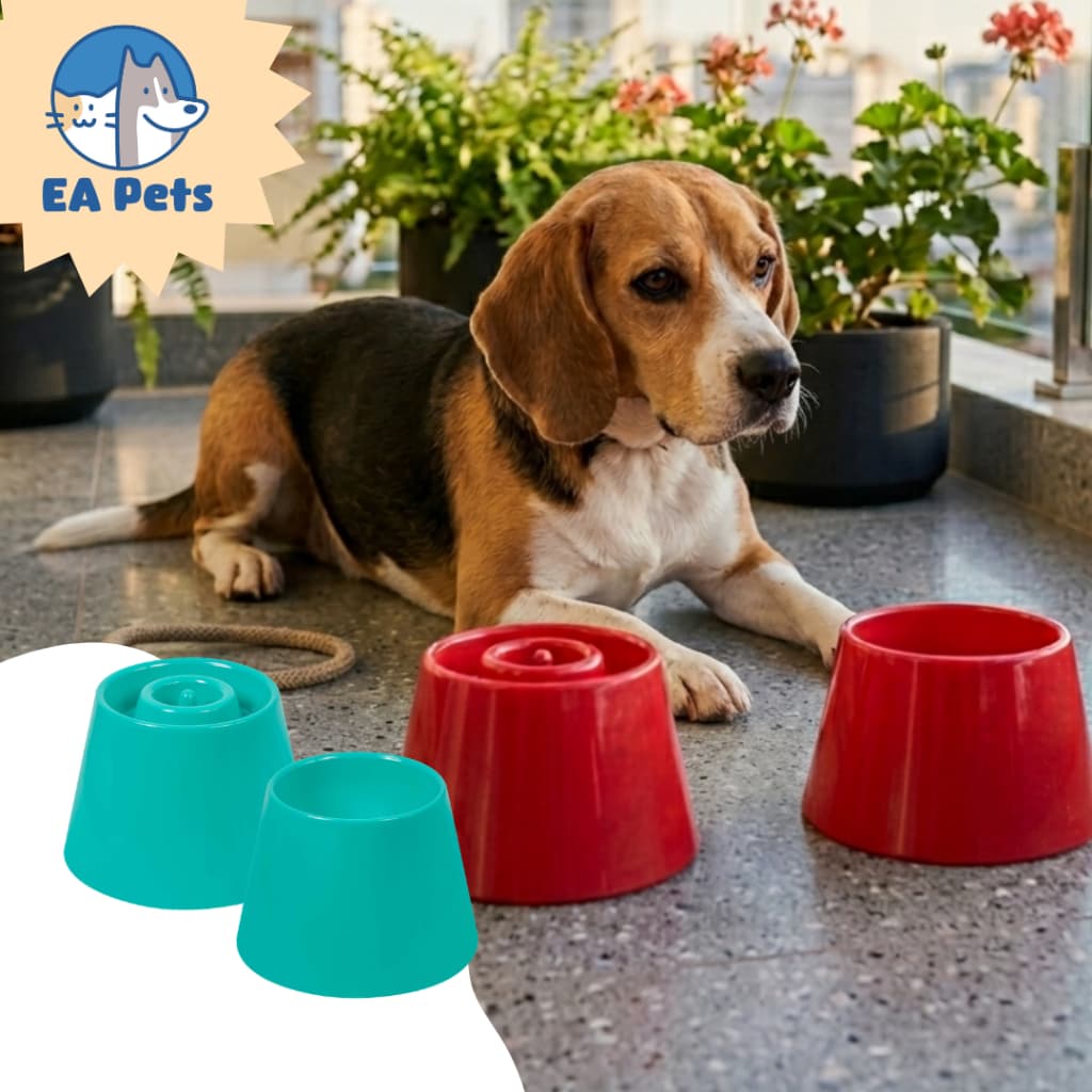 Kit Pet Games Com 1 Comedouro Lento Dog Eat P + 1 Bebedouro Alto Elevado P Para Cão Cachorro