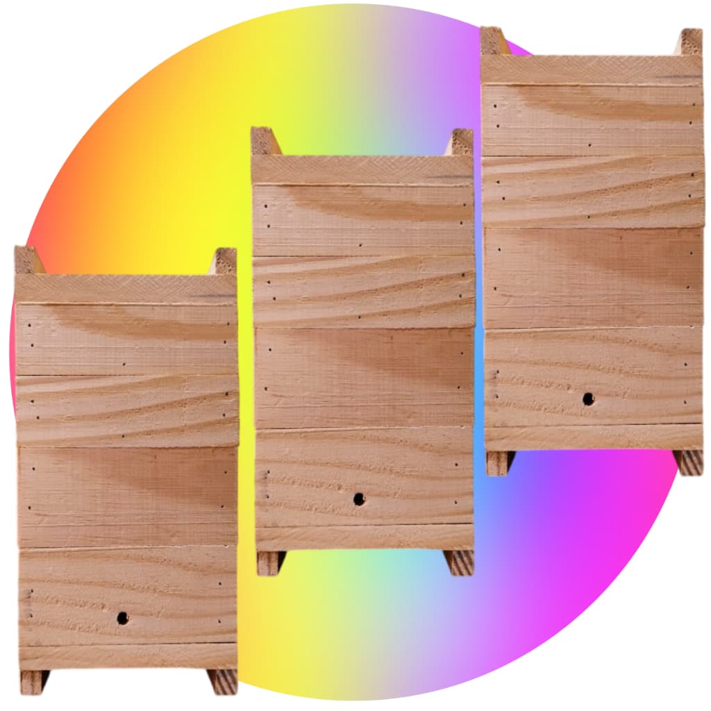 3 Unidades Caixa Abelha jatai 12x12 Interno 2 melgueiras Modelo INPA ASF Abelha Sem Ferrão Nativa Mandaçaia  Uruçu Iraí