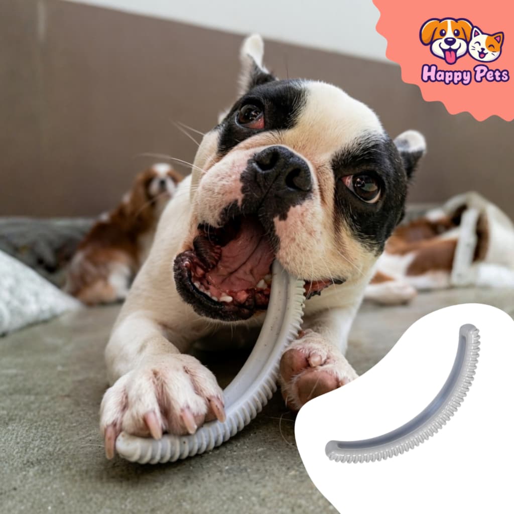 Brinquedo Mordedor Dog Rib Nylon Super Resistente Da Pet Games Para  Cães