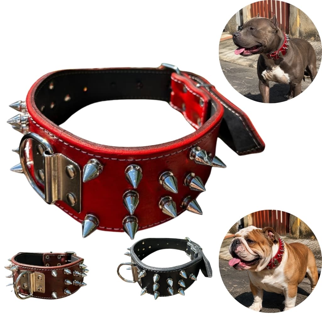 Coleira de Couro para Cachorro Grande e Médio com Spikes Aço Inox | Coleira Reforçada Antipuxão Pitbull Bulldog Resisten