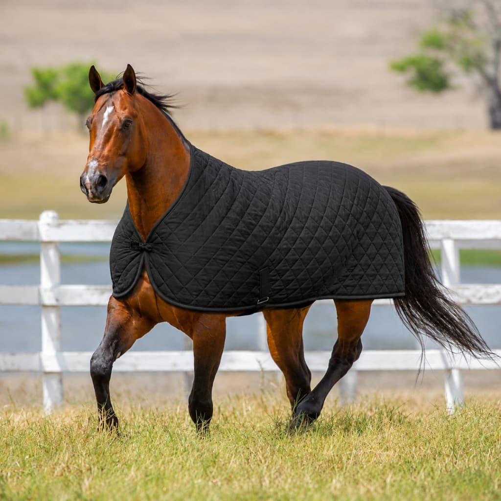 Capa De Cavalo Matelado e Forrado Inverno Produto Ideal Para Proteger Contra Frio Várias Cores P  - G