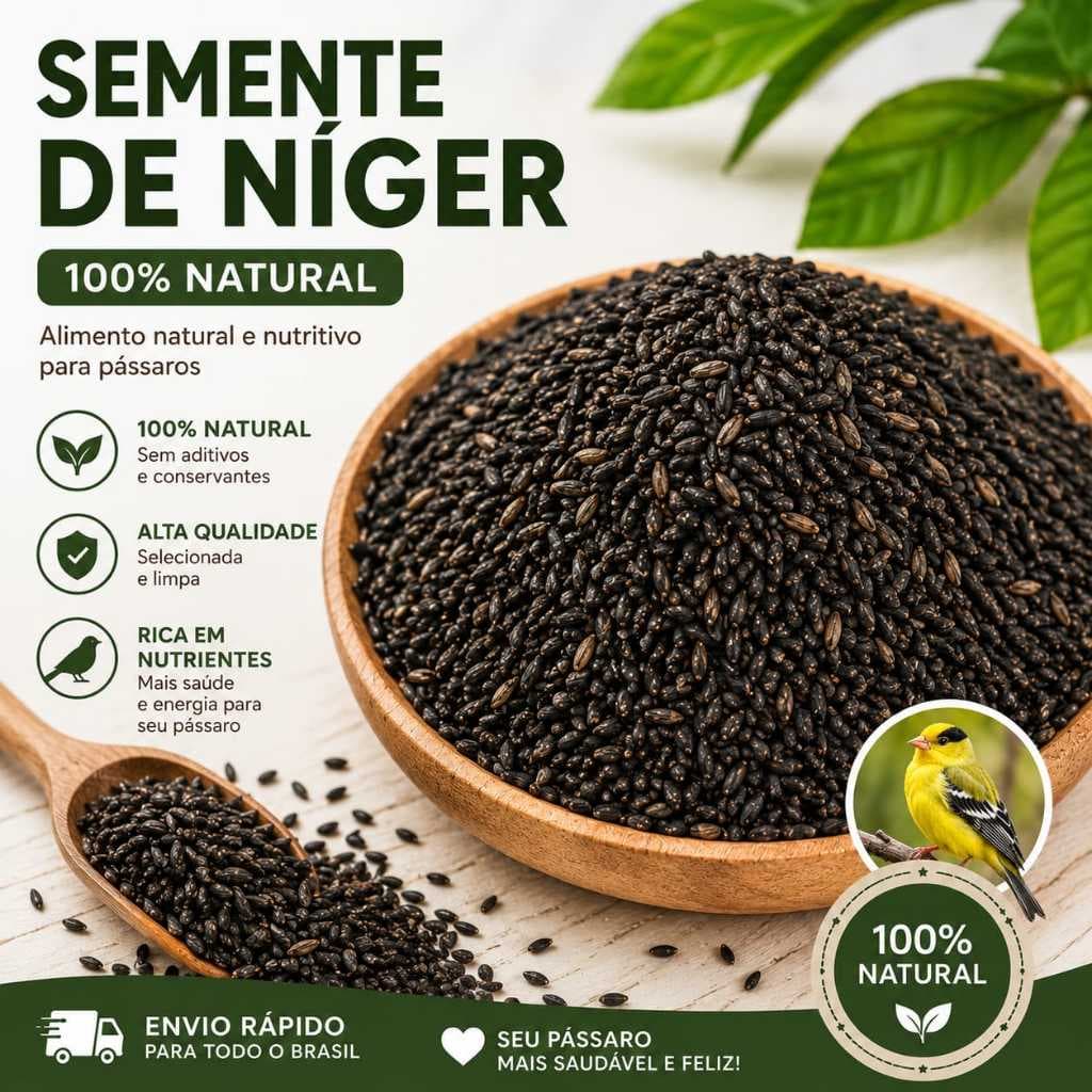 Semente de Niger. Super Limpo e Rico em Nutrientes -Alta Qualidade 1kg-Passaro Nobre