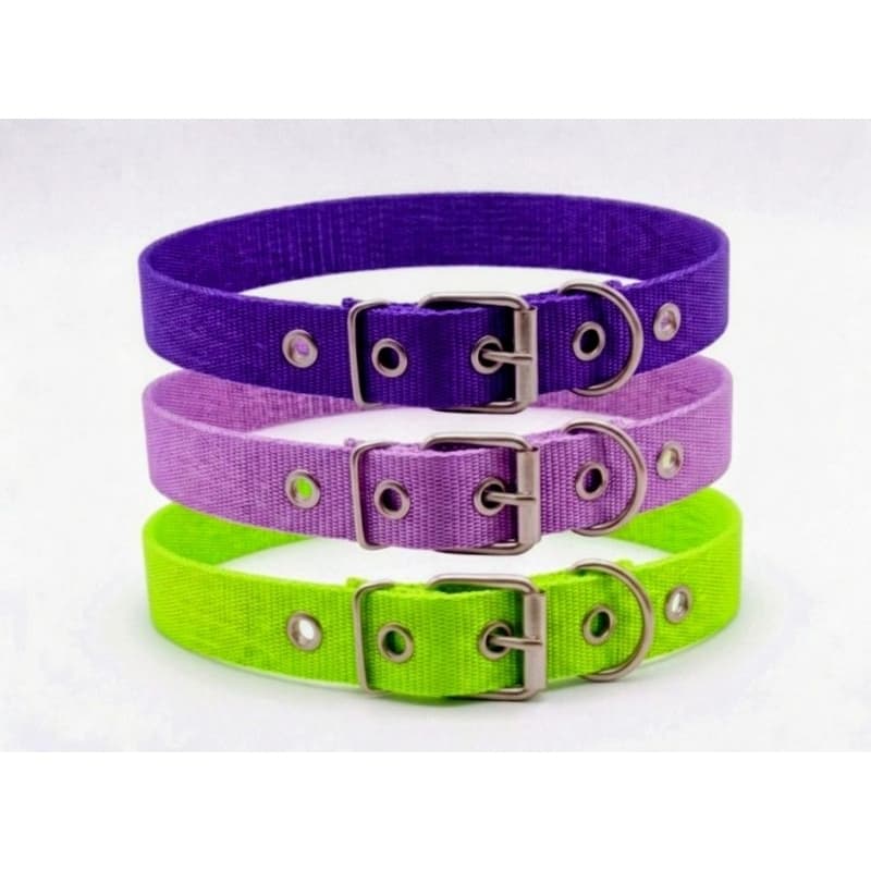 Coleira Para Cachorro Porte Médio com Fivela Ajustável e Resistente (fita de 20mm). Ótima Qualidade. Coleira Porte Médio
