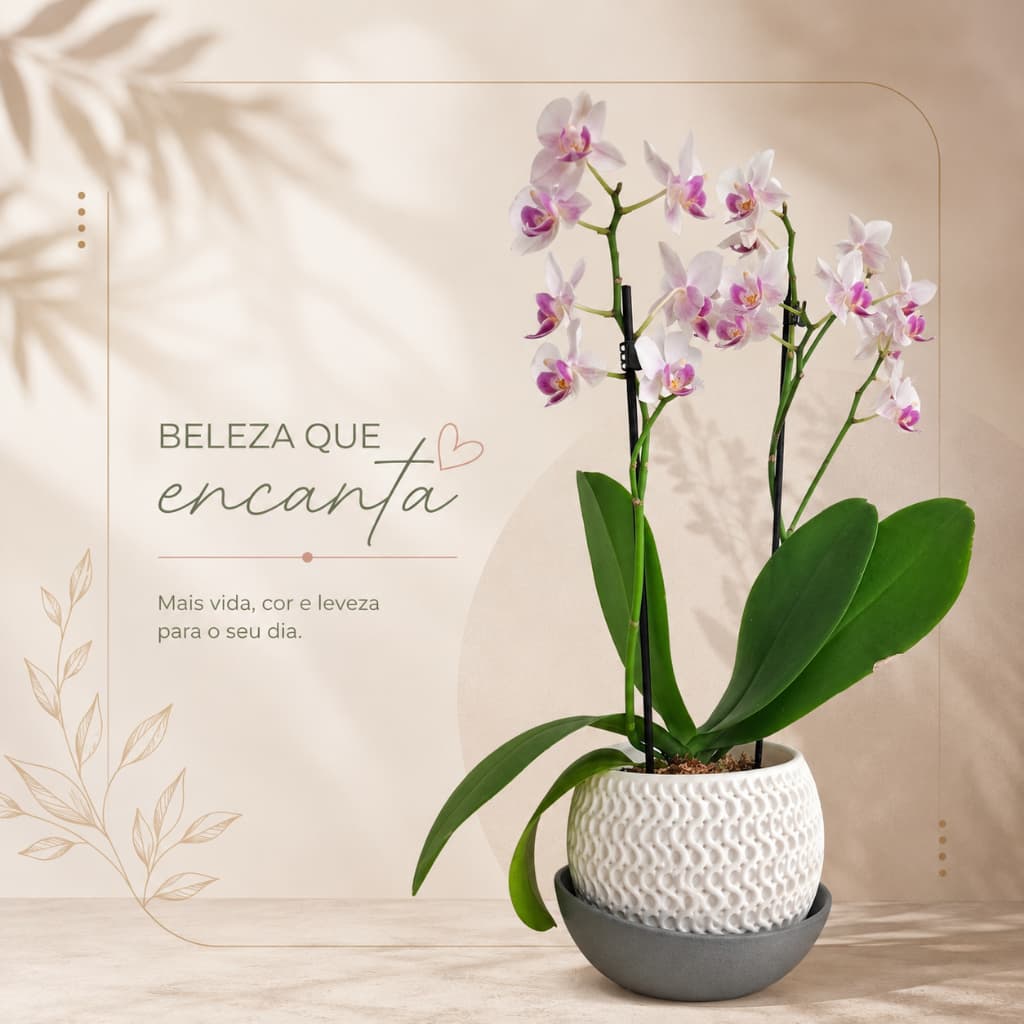 Vaso Decorativo para Orquídeas e Plantas | Design Moderno