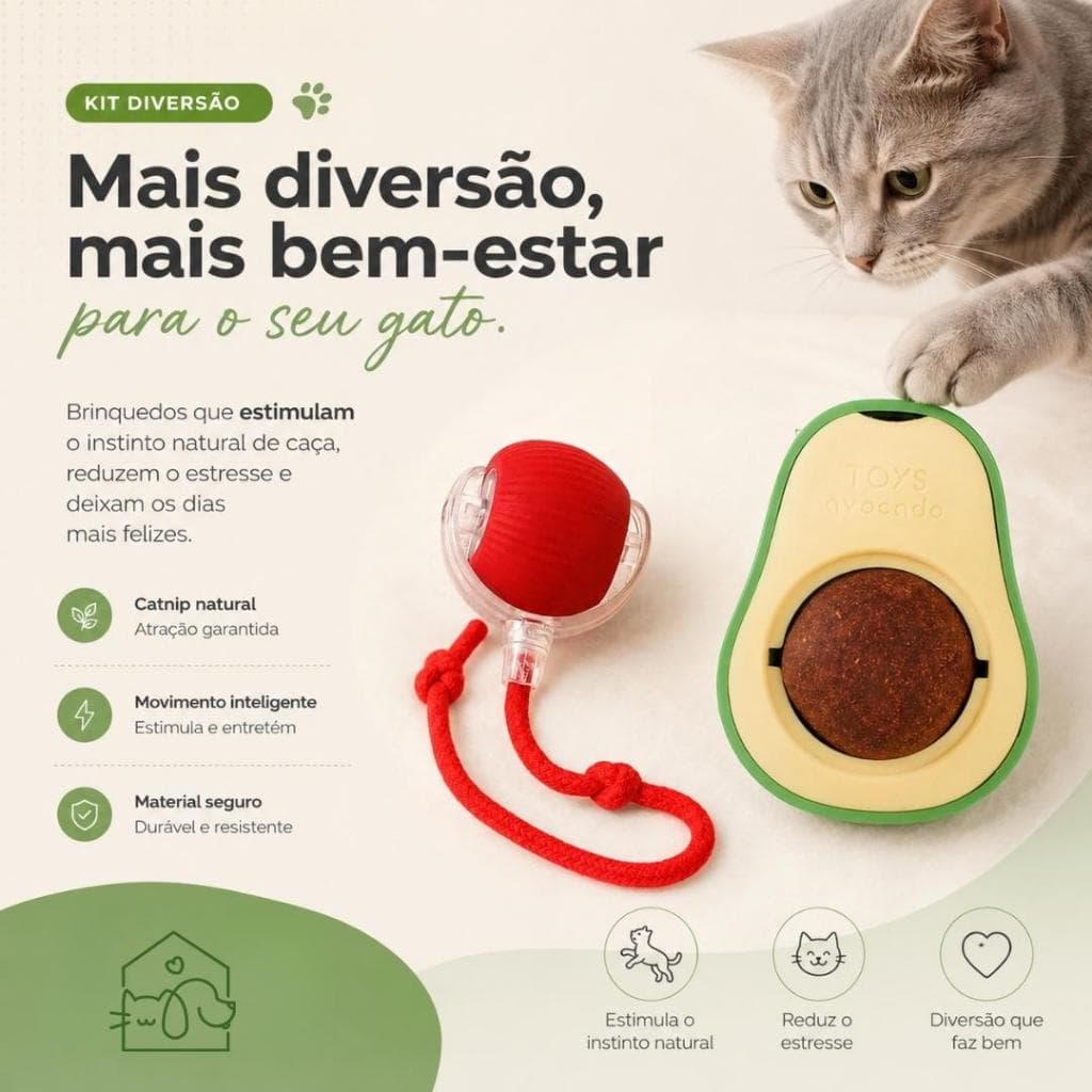 Kit Enriquecimento Ambiental Gatos Bola Automática Catnip