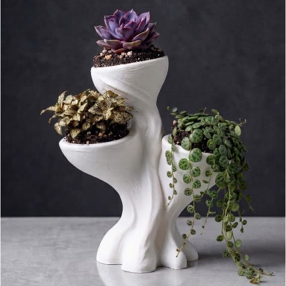 Vaso Decorativo 3 Níveis para Suculentas e Cactos | Orgânico | Cachepô Moderno para Plantas Pequenas
