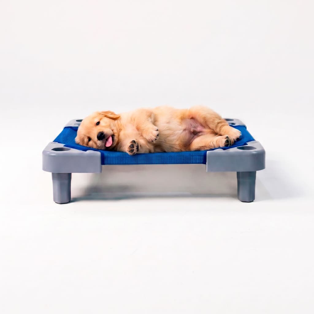 Caminha Petit Pet Azul Higiênica Kit 5 Unidades Gato e Cachorro - PapiBrink