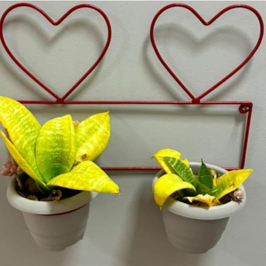 Suporte para Vasos de Plantas Flores Decoração de Jardim  Parede em Ferro 2 Corações