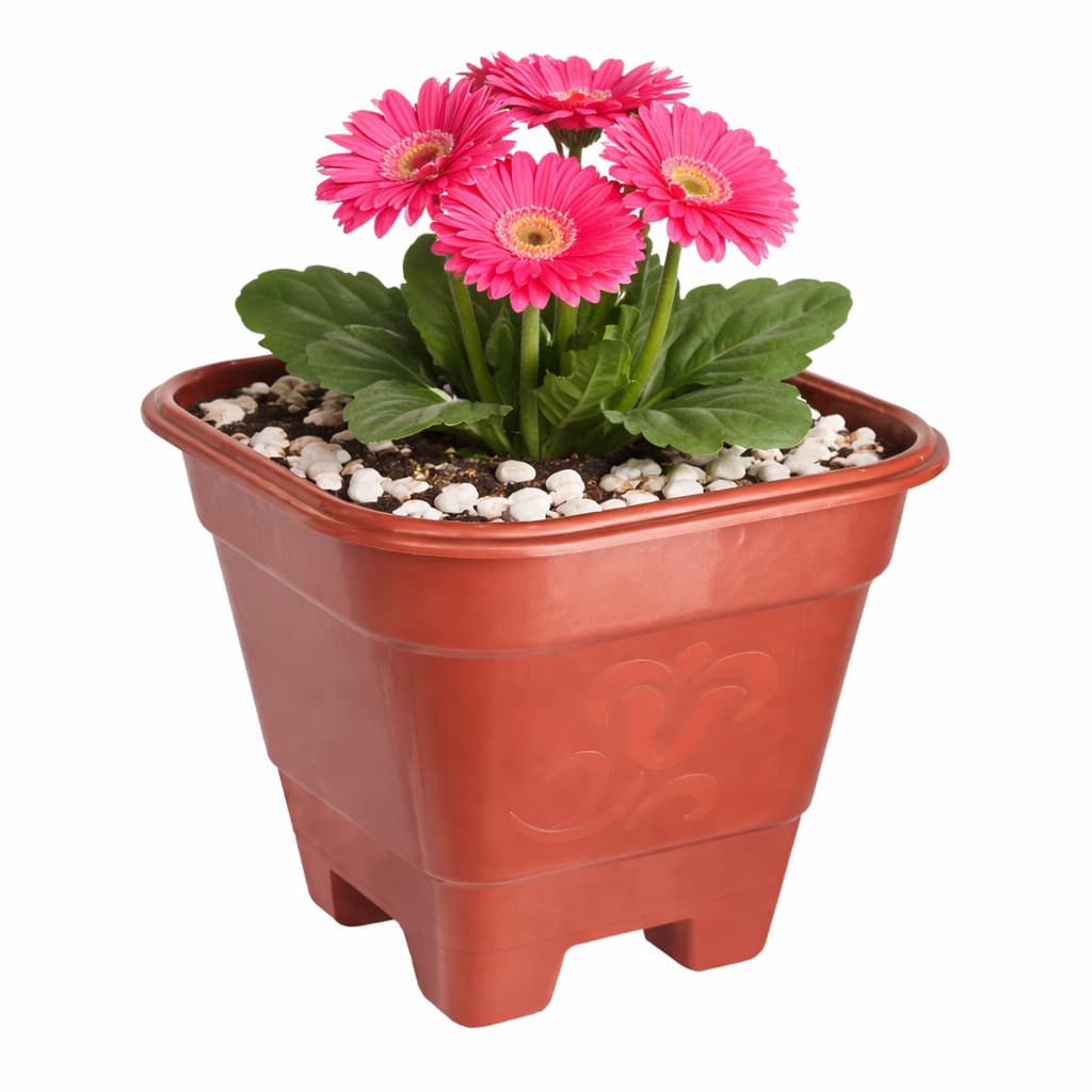 Vaso De Flor Quadrado Médio Muda Planta Jardim Varanda Preto Terracota De Plástico