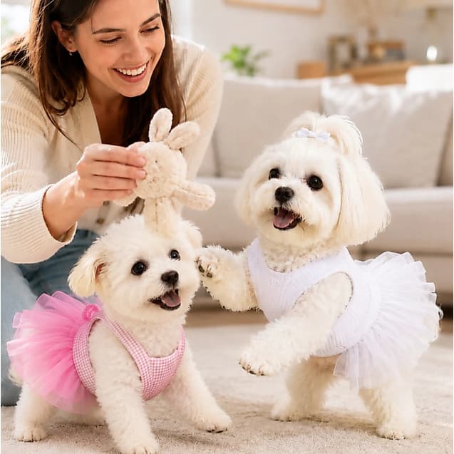 Vestido Para Pets Look De Festa, Verão E Samba Para Cães E Gatos
