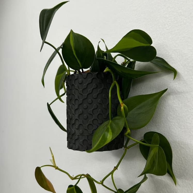 Vaso de Parede 3D com Bandeja Coletora Decoração Vertical Moderna para Plantas