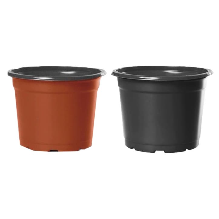 100 Vasos Pote 11 para Mudas Holambra Nutriplan Preto e Terracota, Plantas, Suculetas, Rosa do Deserto Flexivel