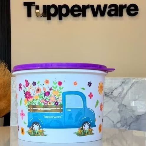 Pote caminho das flores 💐 Tupperware Original/potes hermético/tupper caixa/ tapuer