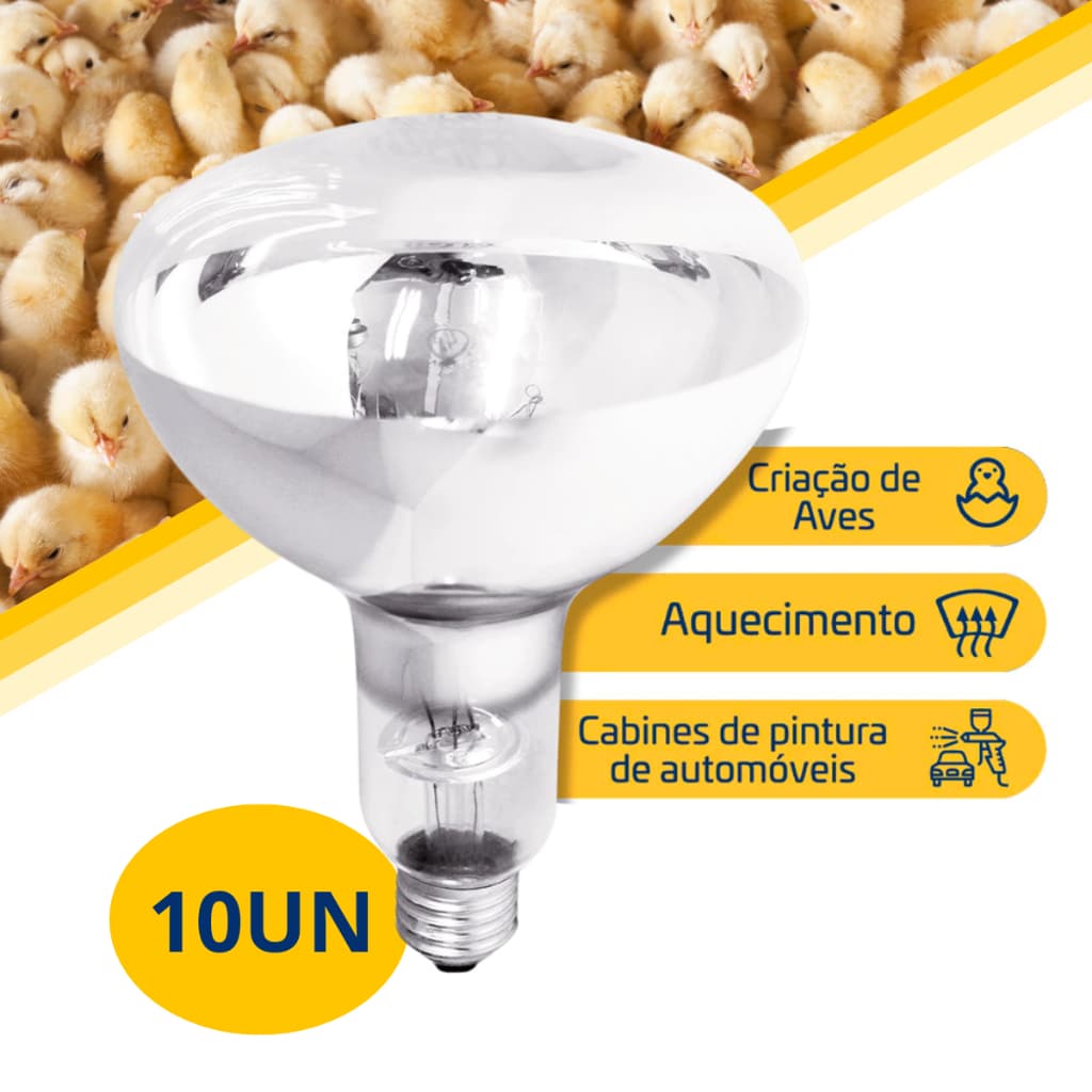 10 Lâmpada Secagem Infravermelha 250w 220ve27 Estufa Pintura