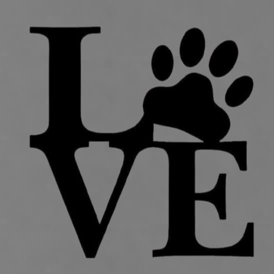 Aplique Decorativo de Parede Minimalista Pet Gato e Cachorro