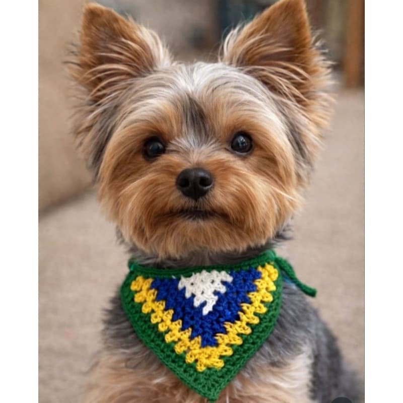 Bandanas para pet em crochê