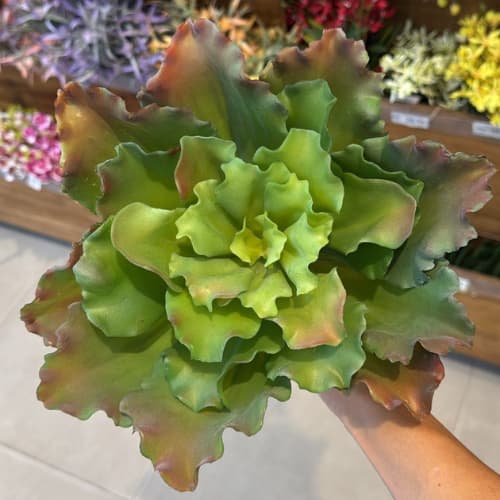 Suculenta Artificial Estilo Natural para Decoração de Ambientes 30 cm