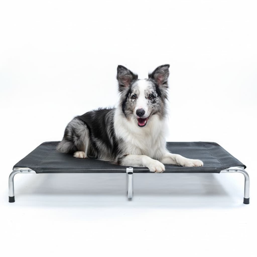 Cama Para Cachorro Suspensa Elevada Pet Cachorro 90x60cm Tamanho G Dogets