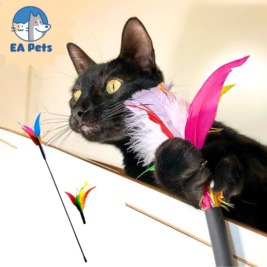 Varinha De 60cm Com Refil Da Pet Games Varinha Cat Brinquedo Super Resistente Para Gato