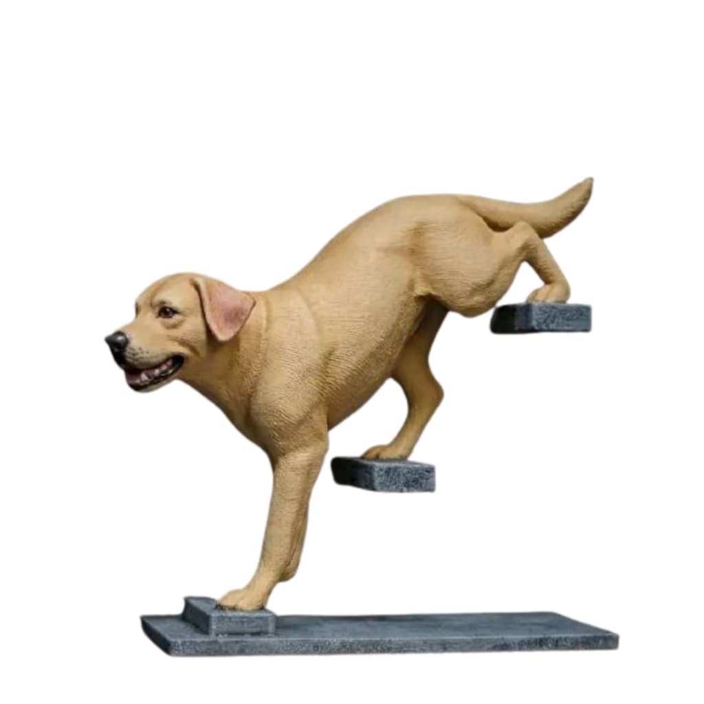 Decoração Cachorro na Escada